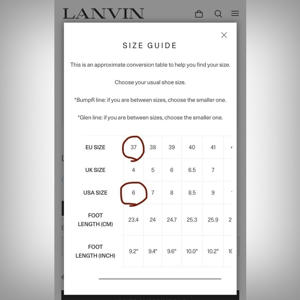 Lanvin Heels - Picture 11 of 12